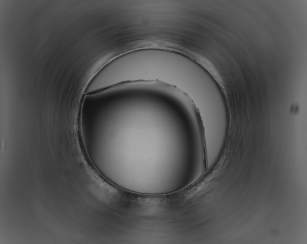 X0000089360946200707131612