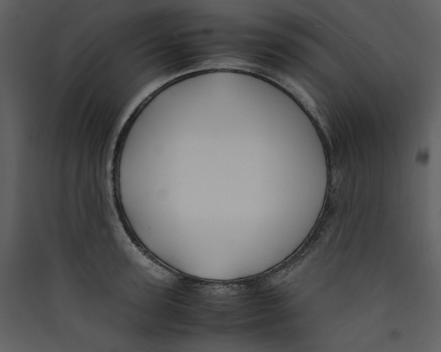 X0000089360947200707131612