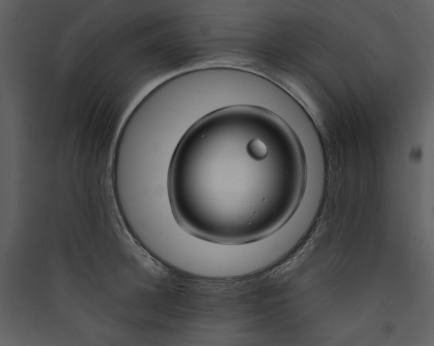X0000089360948200707131612
