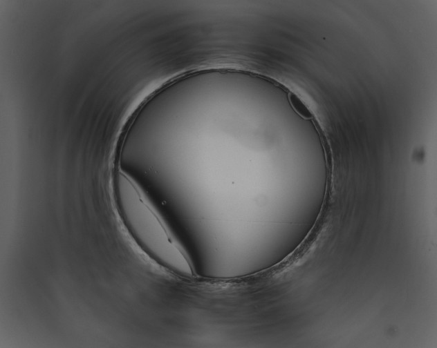 X0000089360949200707131612