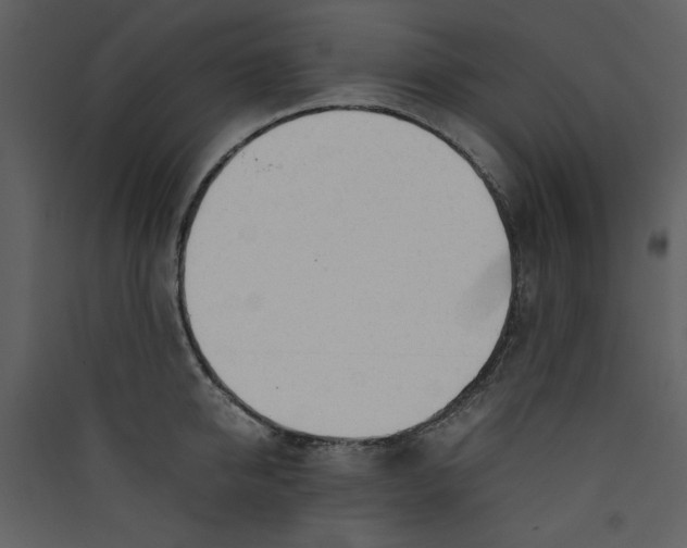 X0000089360950200707131612