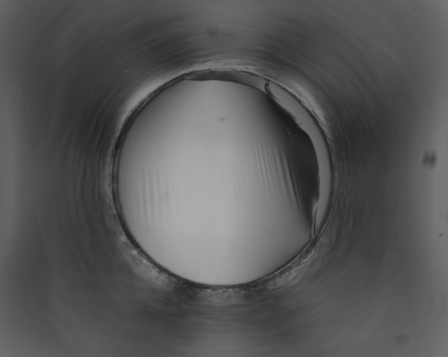 X0000089360952200707131612