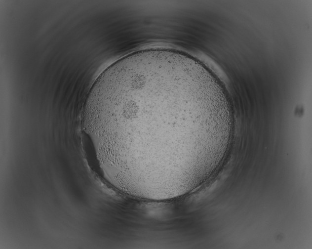 X0000089360953200707131612