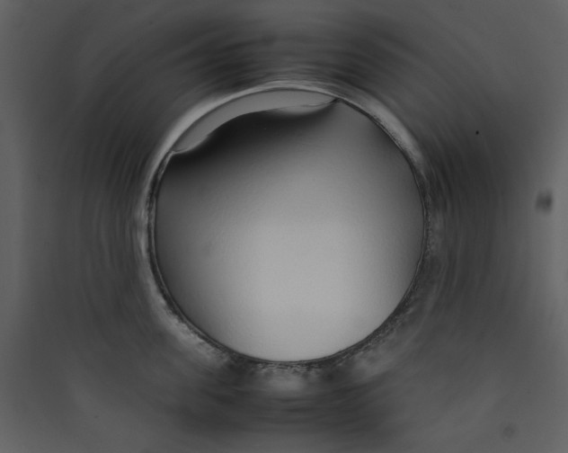X0000089360955200707131612