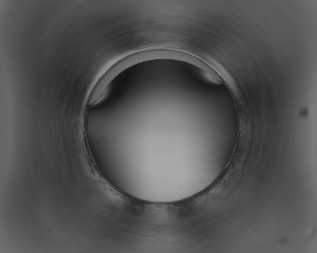 X0000089360956200707131612
