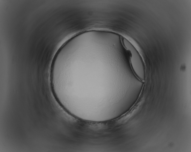 X0000089360957200707131612