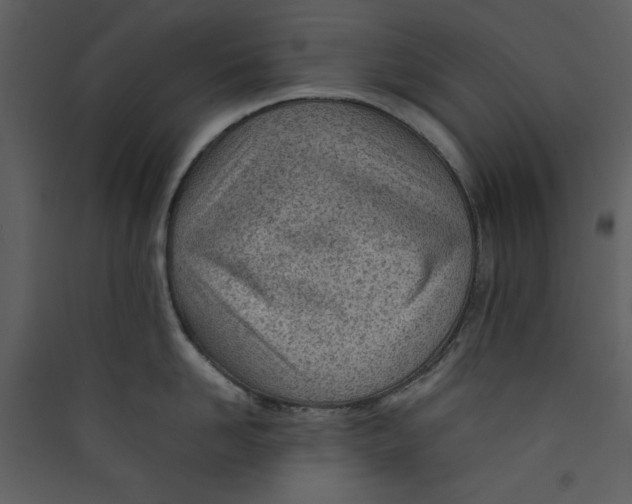 X0000089360958200707131612