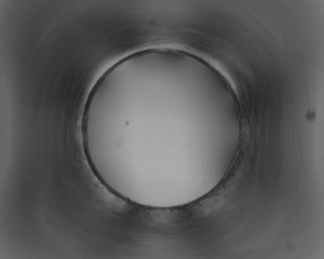 X0000089360959200707131612