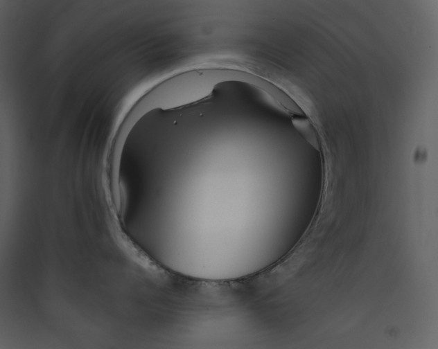 X0000089360960200707131612