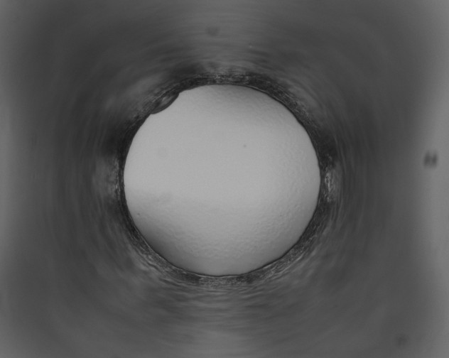 X0000089360963200707131611
