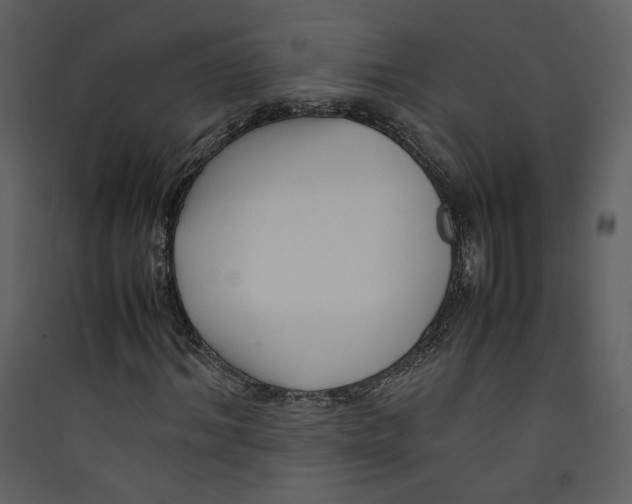 X0000089360964200707131611