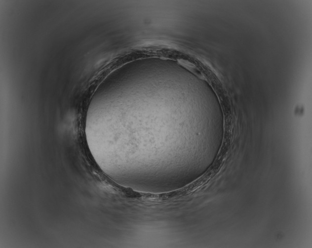 X0000089360965200707131611