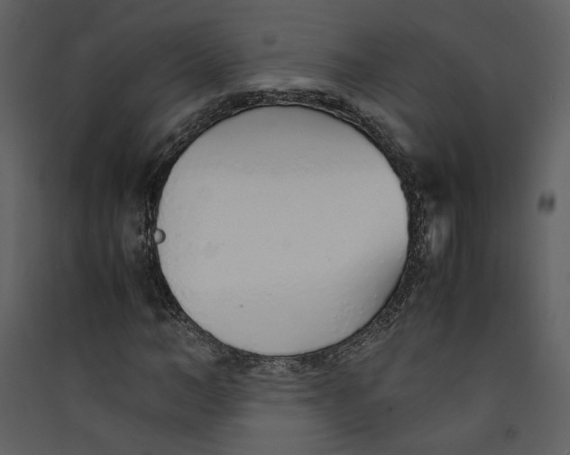 X0000089360966200707131611