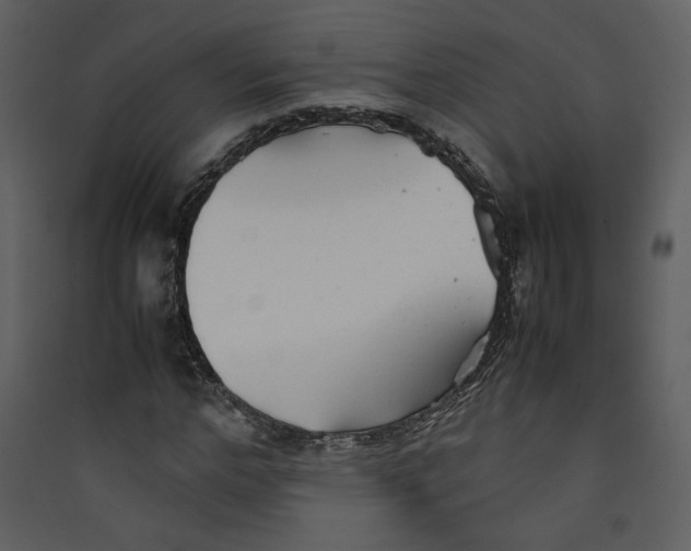X0000089360968200707131611