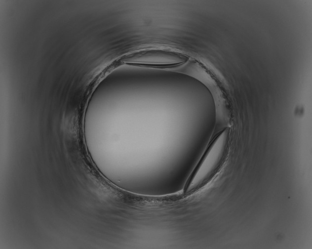 X0000089360969200707131611