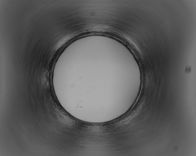 X0000089360970200707131611