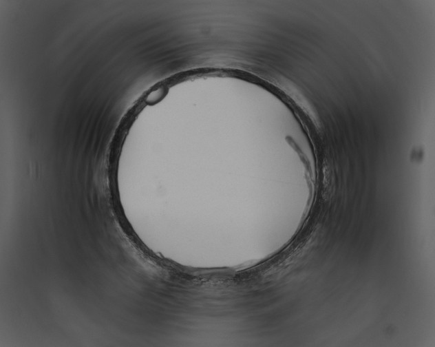 X0000089360972200707131611
