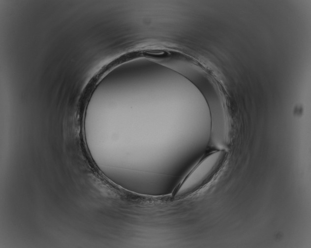 X0000089360973200707131611