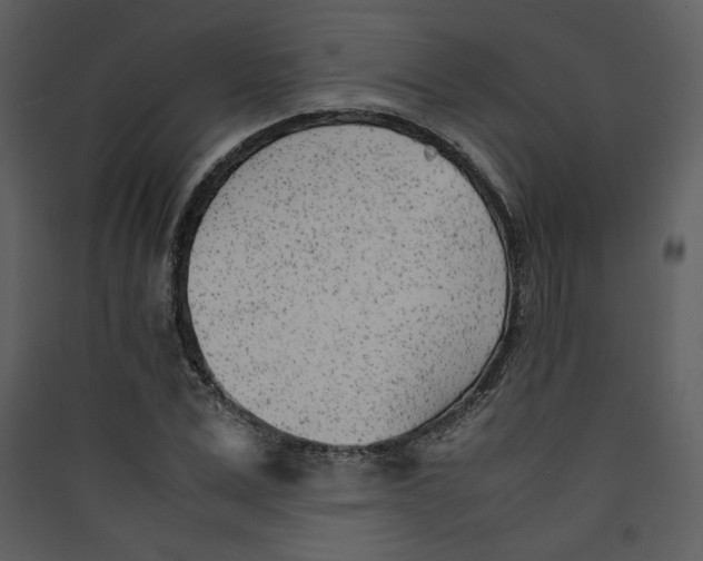X0000089360975200707131611