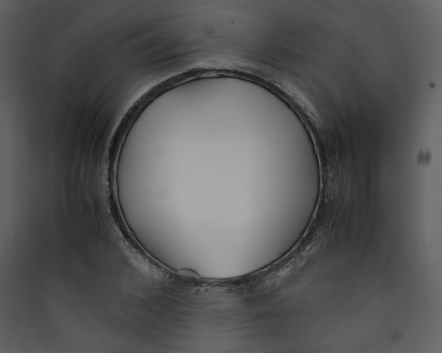 X0000089360976200707131611