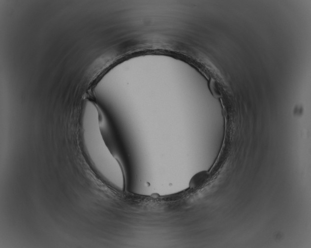 X0000089360977200707131611
