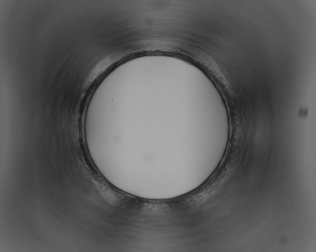X0000089360978200707131611