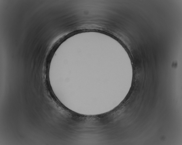 X0000089360979200707131611