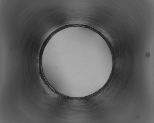 X0000089360980200707131611
