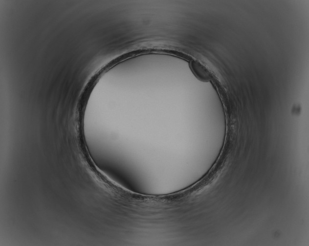 X0000089360981200707131611