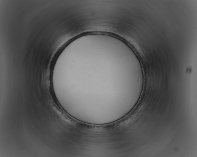 X0000089360982200707131611