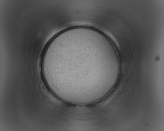 X0000089360983200707131611
