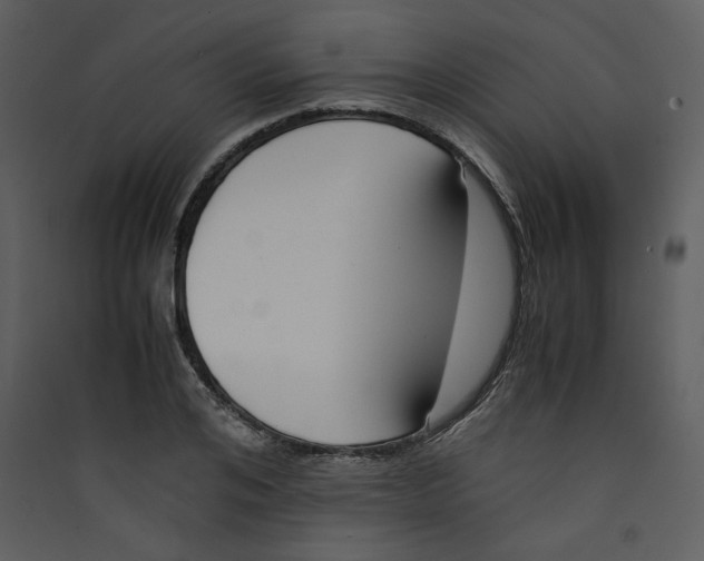 X0000089360984200707131611