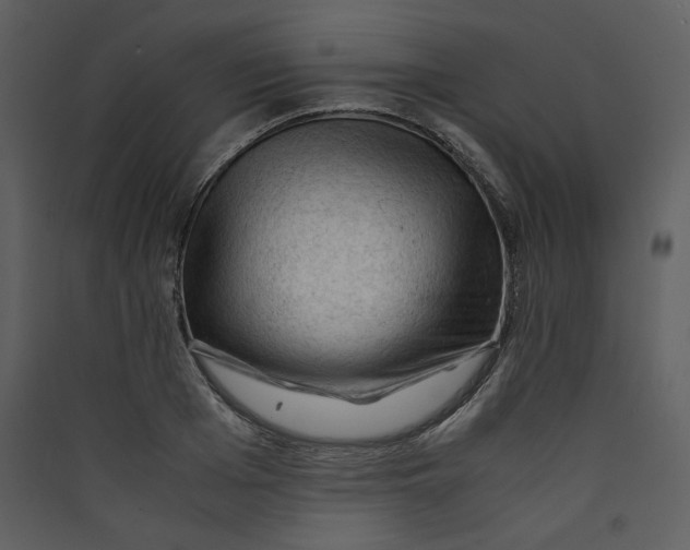 X0000089360985200707131611