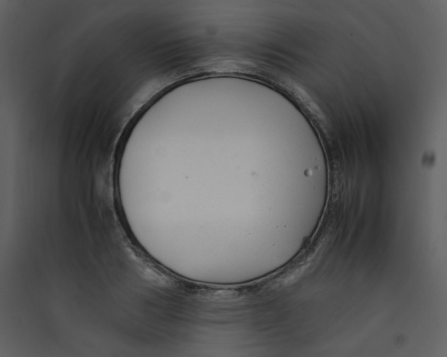 X0000089360986200707131611