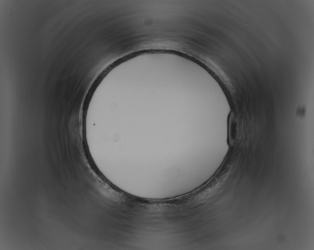 X0000089360988200707131611