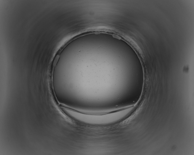 X0000089360989200707131611