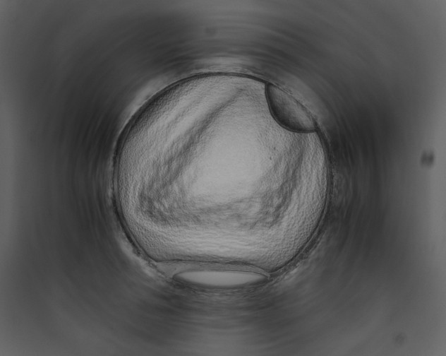 X0000089360994200707131611
