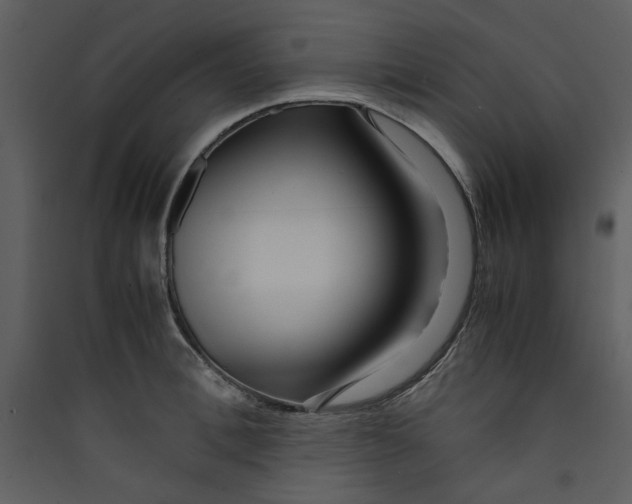 X0000089360996200707131611