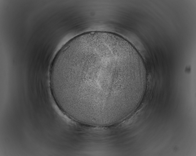 X0000089360998200707131611