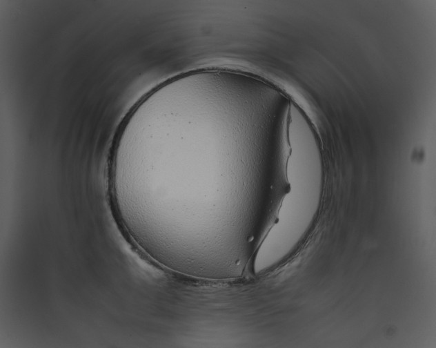 X0000089360999200707131611