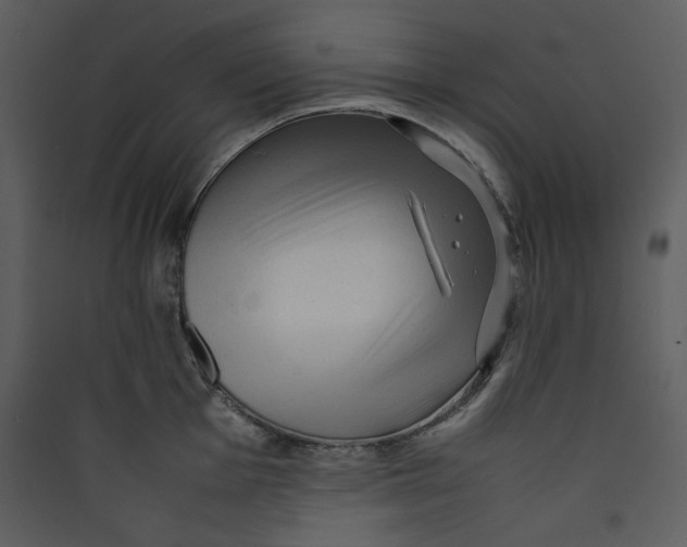 X0000089361001200707131611