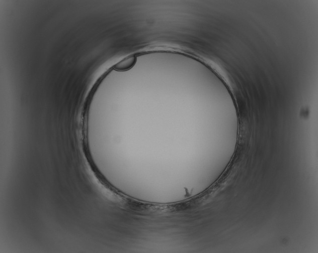 X0000089361003200707131611