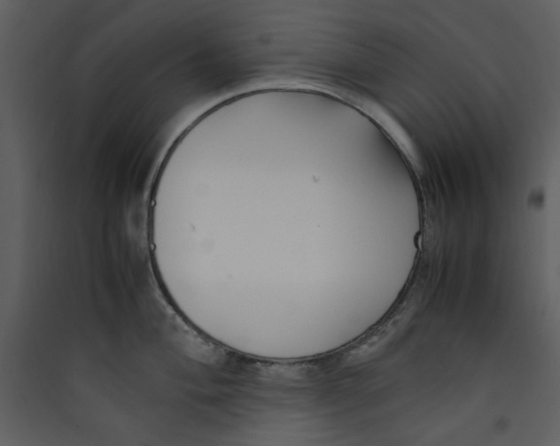 X0000089361004200707131611