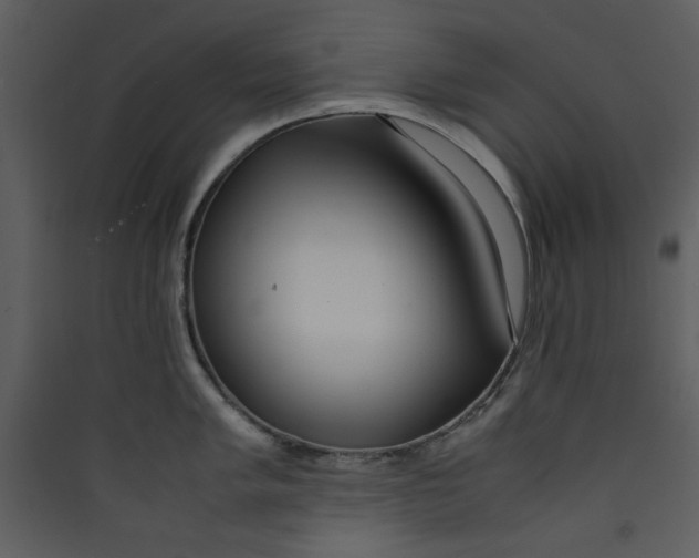 X0000089361005200707131611