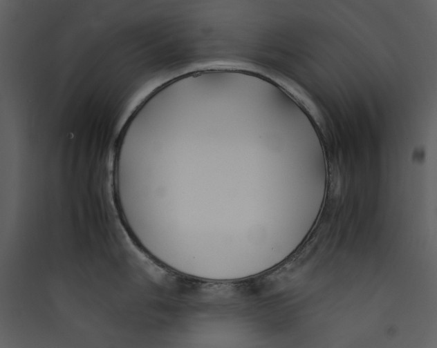 X0000089361006200707131611