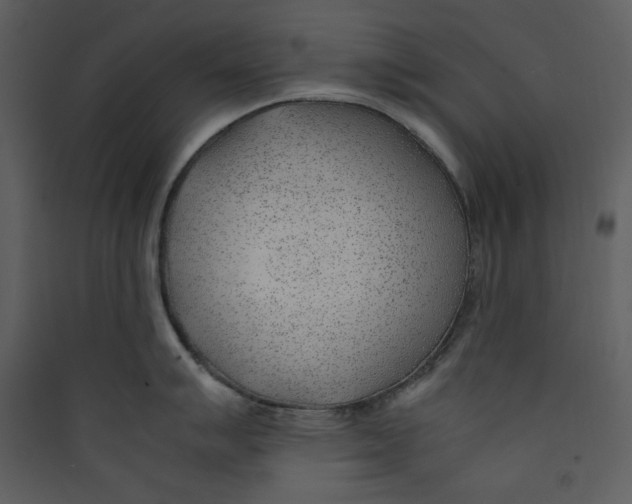 X0000089361007200707131611