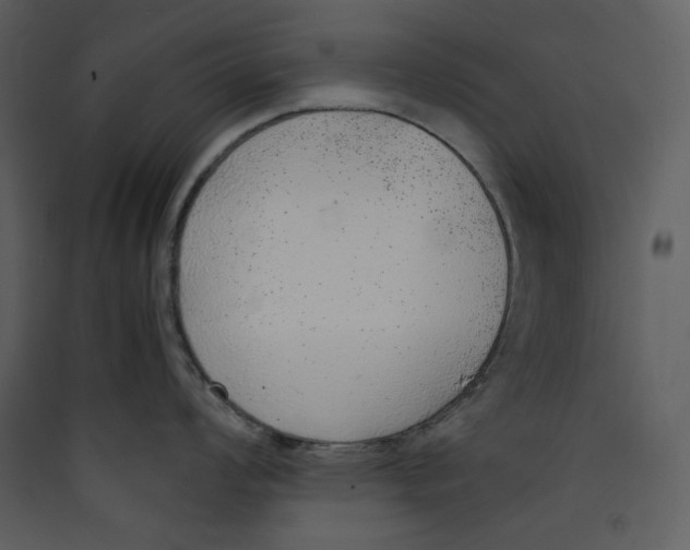 X0000089361008200707131611