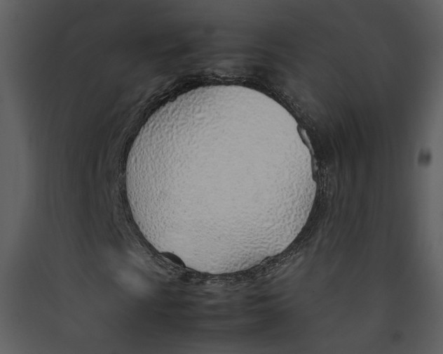 X0000089361009200707131610