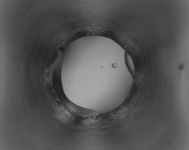 X0000089361010200707131610