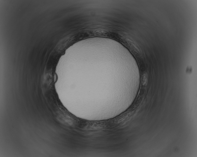 X0000089361011200707131610